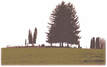 Photograph of Brown Cemetery