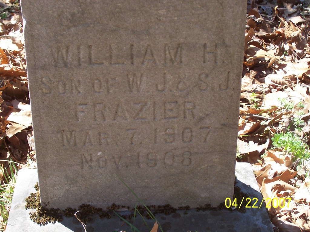 Reed Family Cemetery Wetzel County WVGen